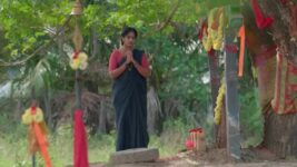 Meenakshi Ponnunga S01 E139 24th January 2023