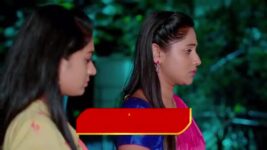 Nuvvu Nenu Prema S01 E204 Padmavathi in a Dilemma