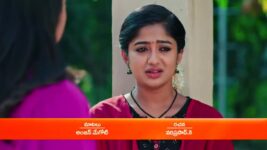 Padamati Sandhyaragam S01 E95 6th January 2023