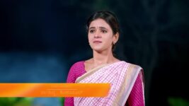 Puttakkana Makkalu S01 E305 24th January 2023