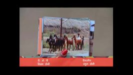 Badi Door Se Aaye Hain S01 E298 Sunshine Colony At A Wedding