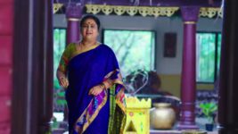 Ennenno Janmala Bandham S01 E325 Rani Has an Advise