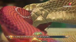 Naagin (Colors tv) S06 E102 New Episode Streaming Now