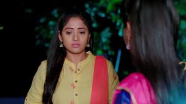 Nuvvu Nenu Prema S01 E204 Padmavathi in a Dilemma