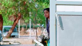 Nuvvu Nenu Prema S01 E205 Padmavathi in a Fix