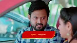 Nuvvu Nenu Prema S01 E212 Padmavathi's Kind Gesture