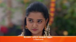 Vidhya No 1 S01 E317 26th January 2023