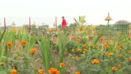 Ghore Ghore S01 E43 20th February 2023