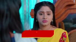 Nuvvu Nenu Prema S01 E224 Padmavathi in a Dilemma