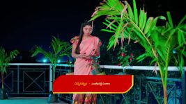 Nuvvu Nenu Prema S01 E227 Padmavathi in a Tight Spot