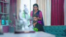 Nuvvu Nenu Prema S01 E229 Vikramaditya's Attempt Fails