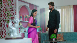 Nuvvu Nenu Prema S01 E229 Vikramaditya's Attempt Fails