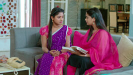 Nuvvu Nenu Prema S01 E239 Padmavathi's Failed Attempt