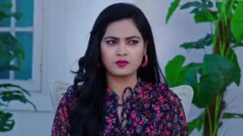 Vantalakka S01 E208 Raghavendra's Plan Misfires