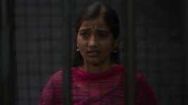 Haiwan S01 E50 18th March 2023