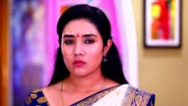 Deivam Thantha Poove S01 E407 29th March 2023
