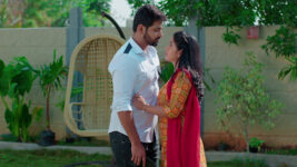 Nuvvu Nenu Prema S01 E249 Anu Surprises Arya