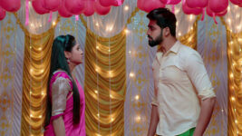 Nuvvu Nenu Prema S01 E254 Padmavathi Spills the Beans