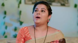 Nuvvu Nenu Prema S01 E260 Padmavathi Is Doubtful