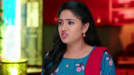 Nuvvu Nenu Prema S01 E270 Padmavathi Keeps the Secret