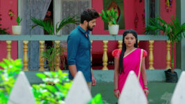 Nuvvu Nenu Prema S01 E270 Padmavathi Keeps the Secret