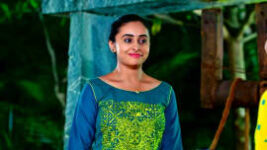 Puttakkana Makkalu S01 E339 13th March 2023