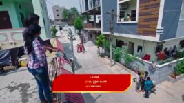 Vantalakka S01 E244 Nagamma's Evil Scheme
