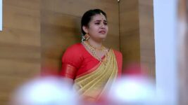 Annapoorna S01 E148 26th April 2023