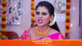 Deivam Thantha Poove S01 E424 11th April 2023