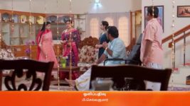Meenakshi Ponnunga S01 E217 12th April 2023