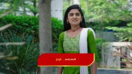 Paape Maa Jeevana Jyothi S01 E609 Simhadri Is Grateful