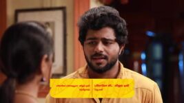 Raja Rani S02 E643 Happy Days Incoming