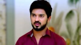 Annapoorna S01 E135 13th April 2023