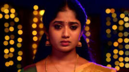 Meenakshi Ponnunga S01 E219 14th April 2023