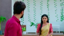 Nuvvu Nenu Prema S01 E274 Padmavathi Is Stubborn