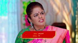 Nuvvu Nenu Prema S01 E288 Padmavathi in a Tight Spot
