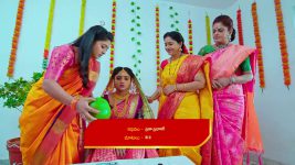 Nuvvu Nenu Prema S01 E290 Murali Cautions Padmavathi