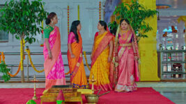 Nuvvu Nenu Prema S01 E291 Padmavathi Spills the Beans