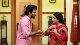 Raja Rani S02 E634 Saravanan Comforts Sivagami