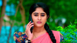 Subhasya Seeghram S01 E81 26th April 2023