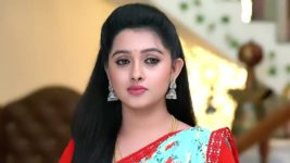 Annapoorna S01 E161 9th May 2023