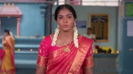 Karthigai Deepam S01 E133 10th May 2023