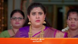 Karthigai Deepam S01 E147 25th May 2023