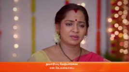 Karthigai Deepam S01 E149 29th May 2023