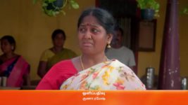 Meenakshi Ponnunga S01 E253 24th May 2023