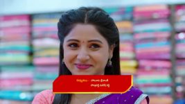 Nuvvu Nenu Prema S01 E312 Padmavathi Lashes out at Murali
