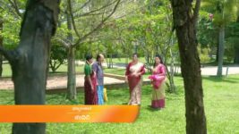 Paaru S01 E1161 8th May 2023