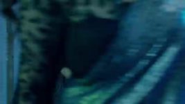 Na Umra Ki Seema Ho S01 E253 Amba's Plan Takes a U-Turn