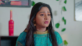Nuvvu Nenu Prema S01 E306 Padmavathi's Brave Act