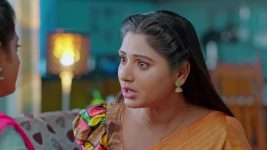Nuvvu Nenu Prema S01 E313 Arya Pleads with Padmavathi